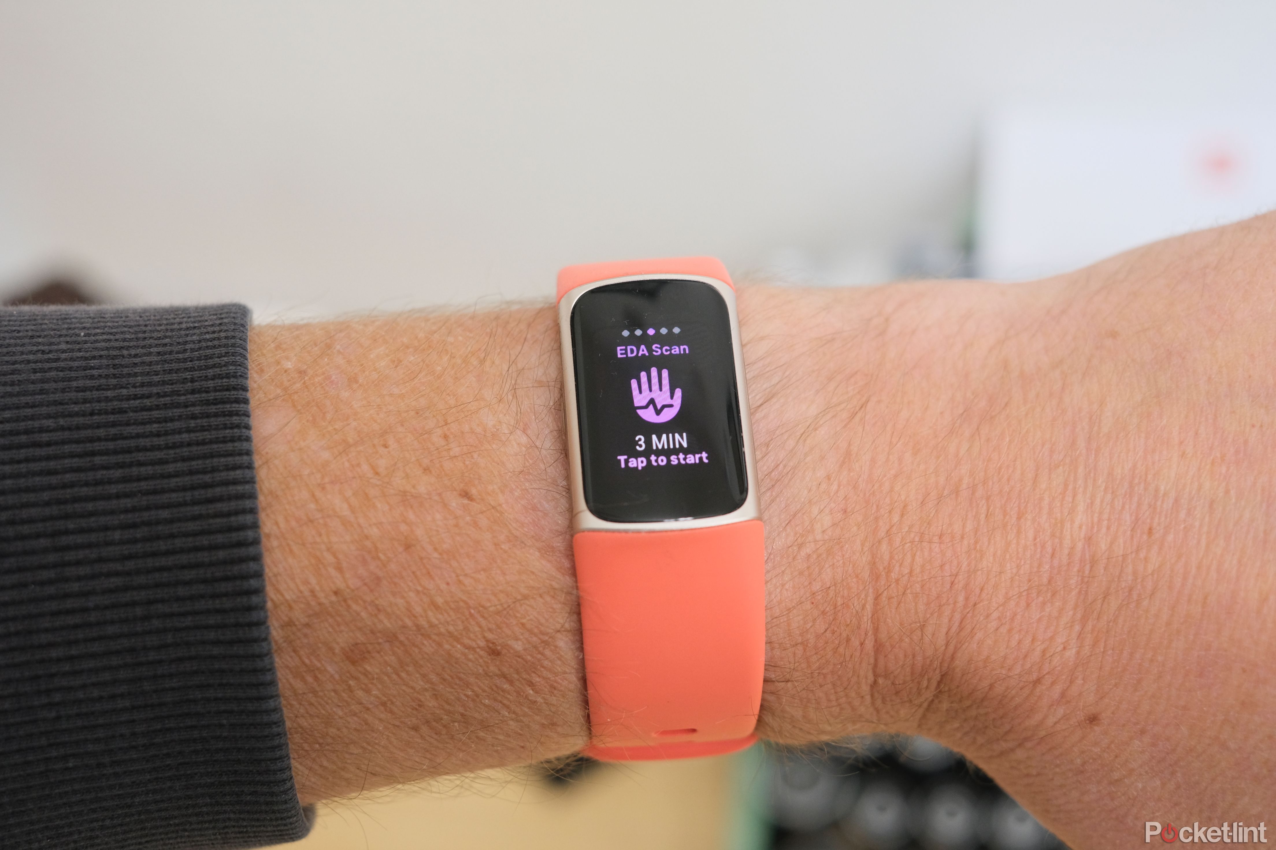 Fitbit 充电 6-3-1