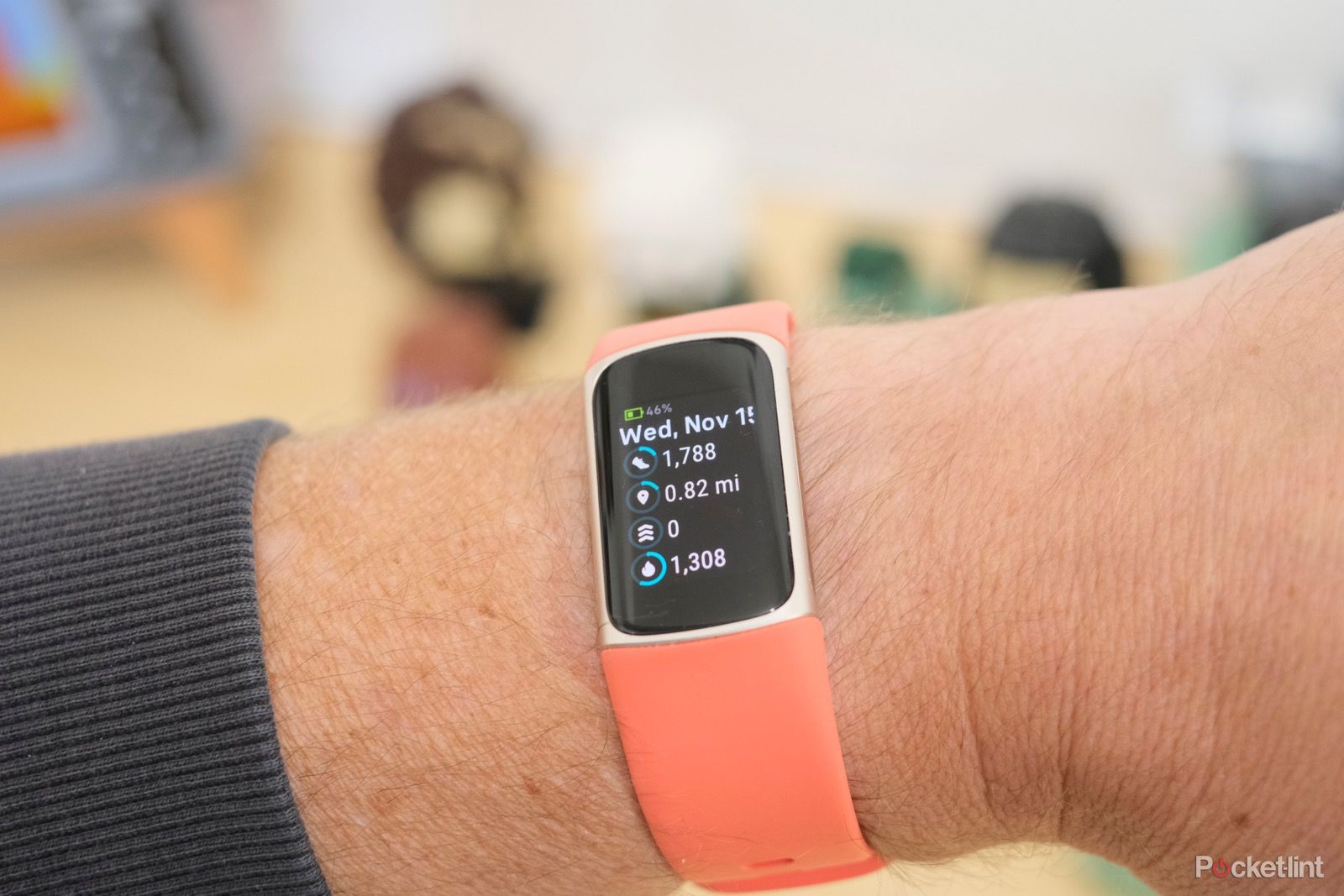 Fitbit 充电 6-6