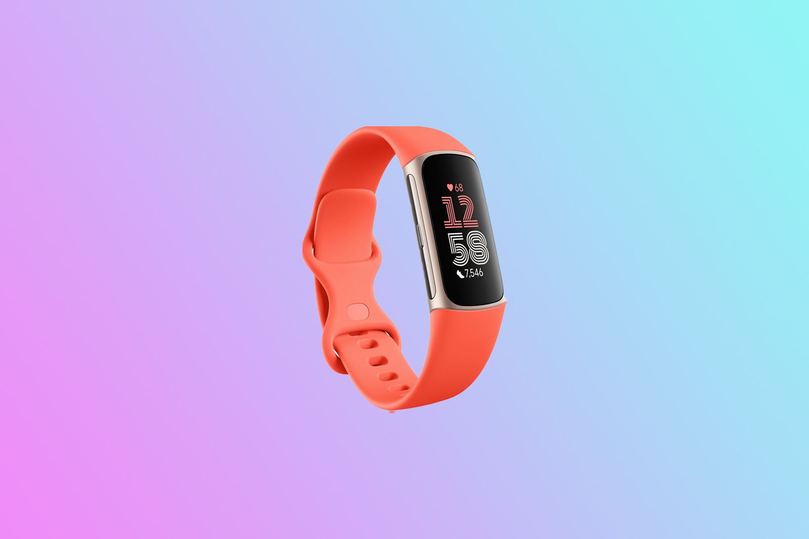 Fitbit 充电 6