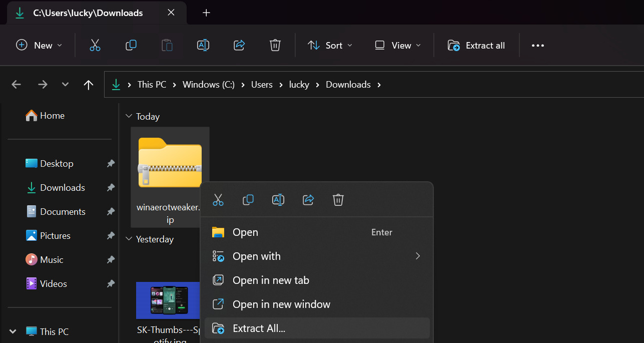 在 Windows 10/11 上打开 WebP 图像的 5 种最佳方法 - 数字指南