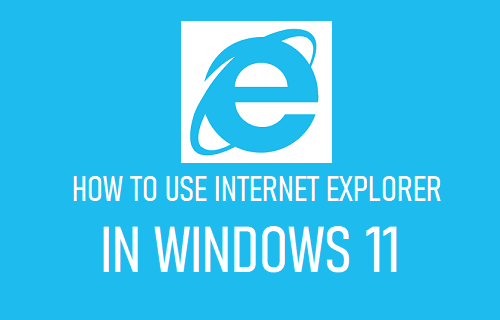 如何在 Windows 11 中使用 Internet Explorer