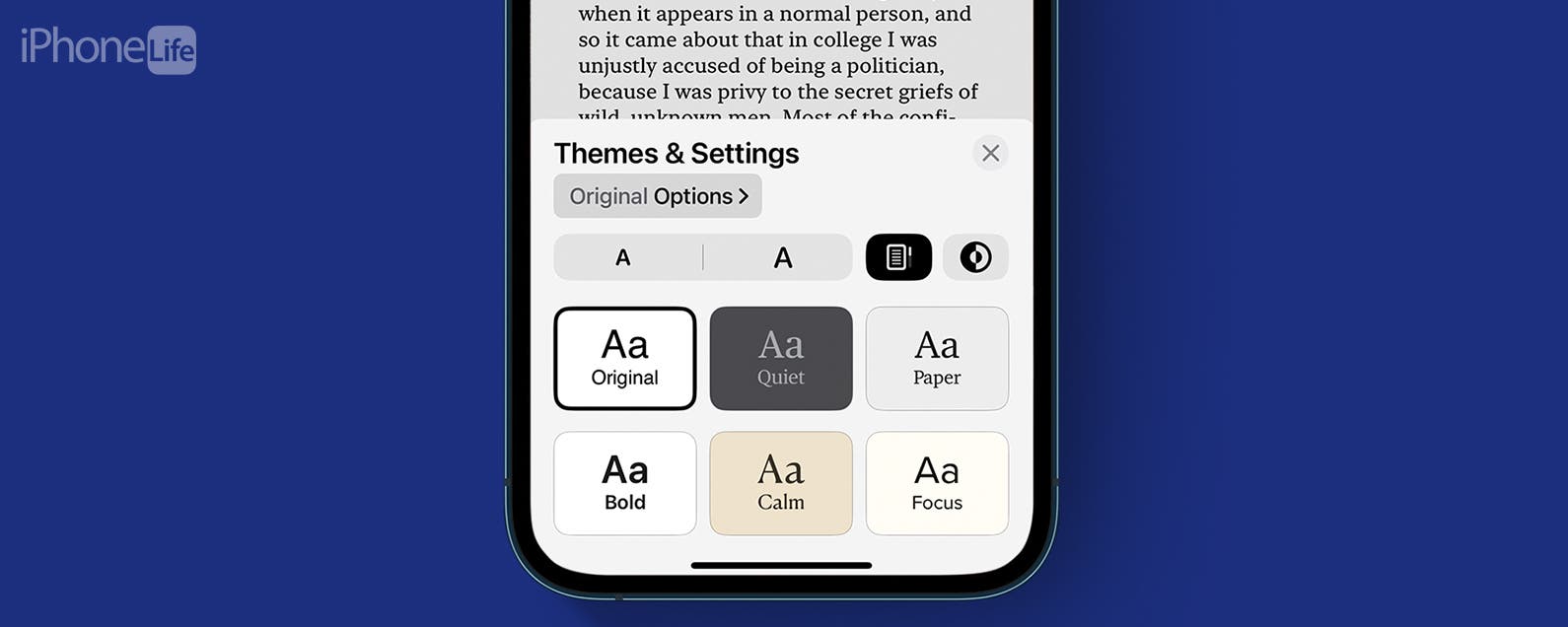 如何更改 iPhone 上 Apple Books 應用程式中的主題