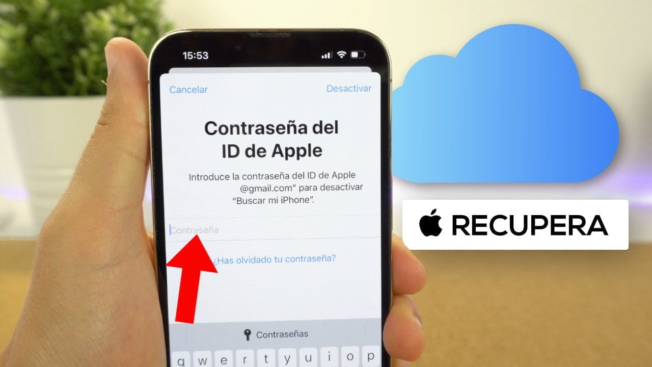 如果我什麼都不記得了，我怎麼知道我的 Apple ID？