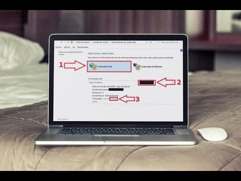 Windows 10上的用户密码在哪里？