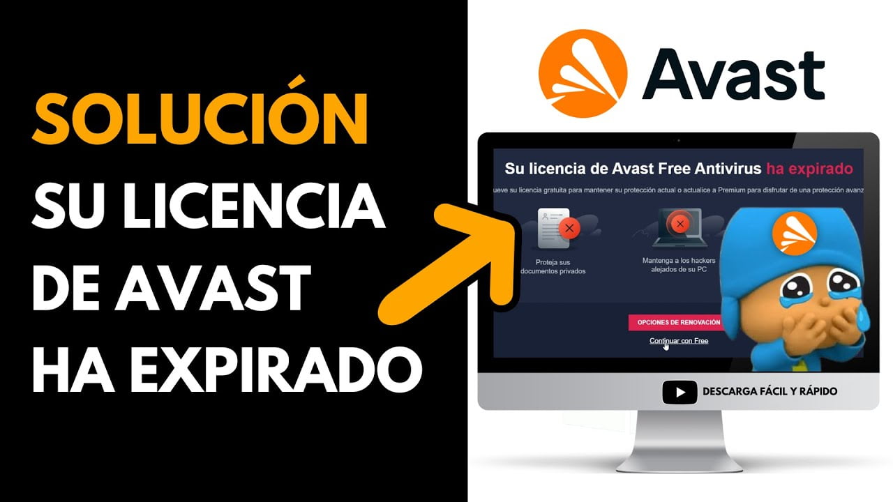 在哪里可以查看 Avast 许可证？