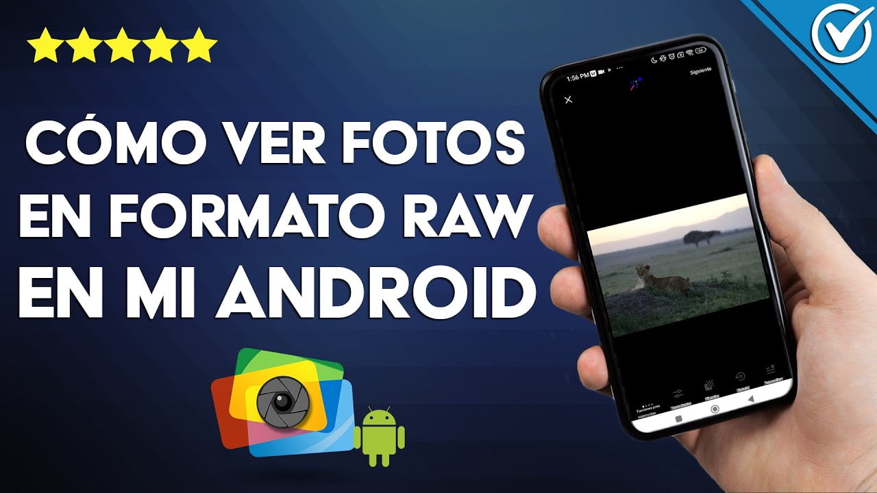 如何在Android上查看RAW文件？