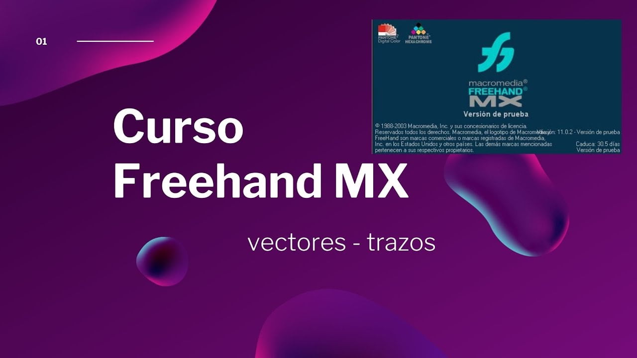 什么是 Adobe FreeHand？