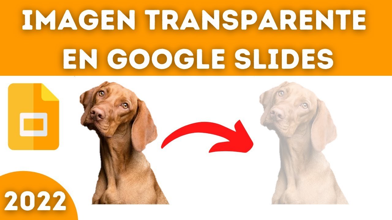 如何在Google演示文稿中放置PNG图像？