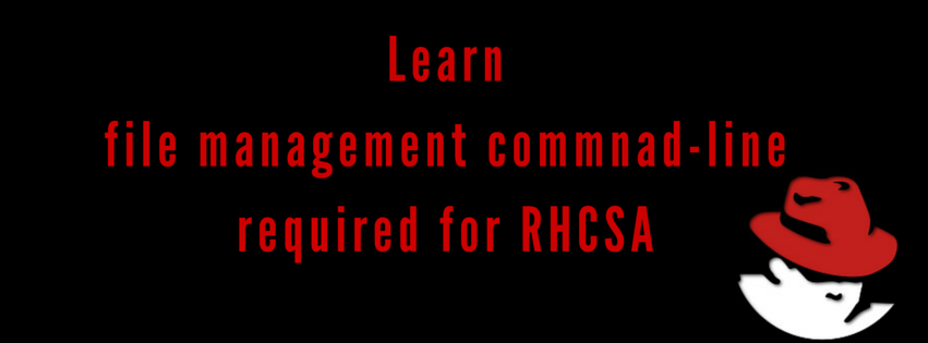 了解 RHCSA 所需的文件管理命令行
