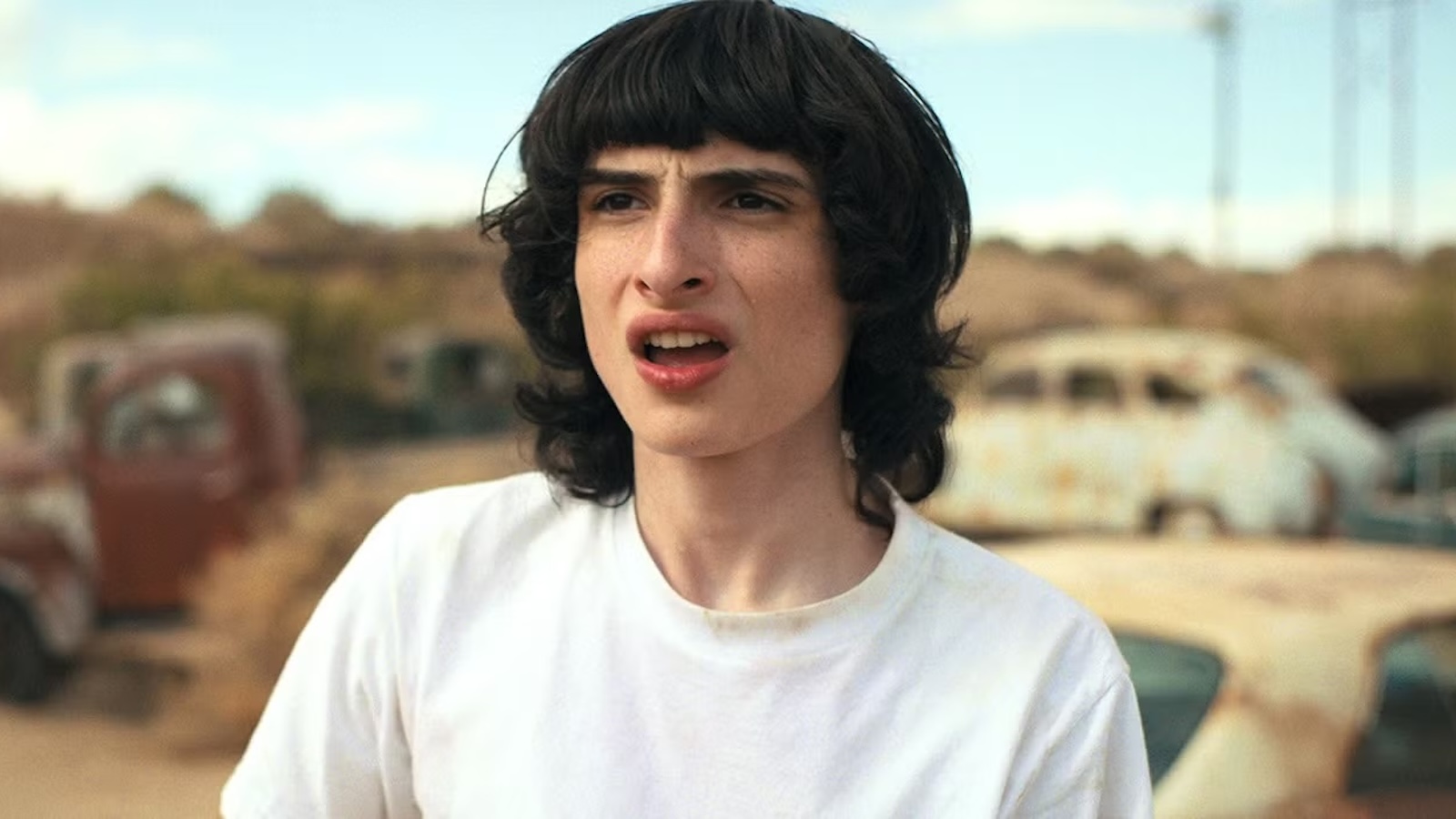 芬恩·沃尔夫哈德（Finn Wolfhard