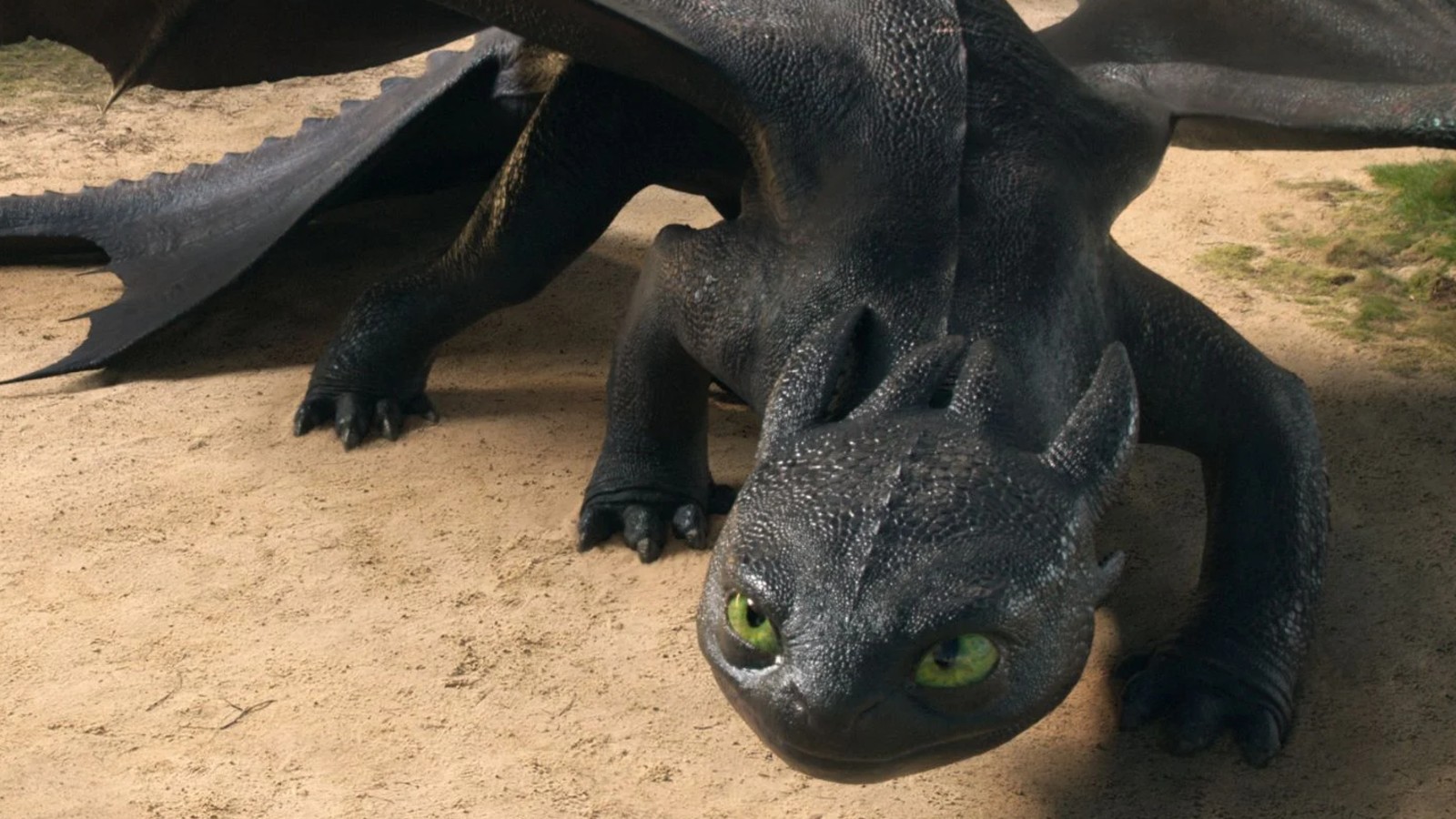 如何訓練您的龍導演“不喜歡這種趨勢”的重製動畫電影