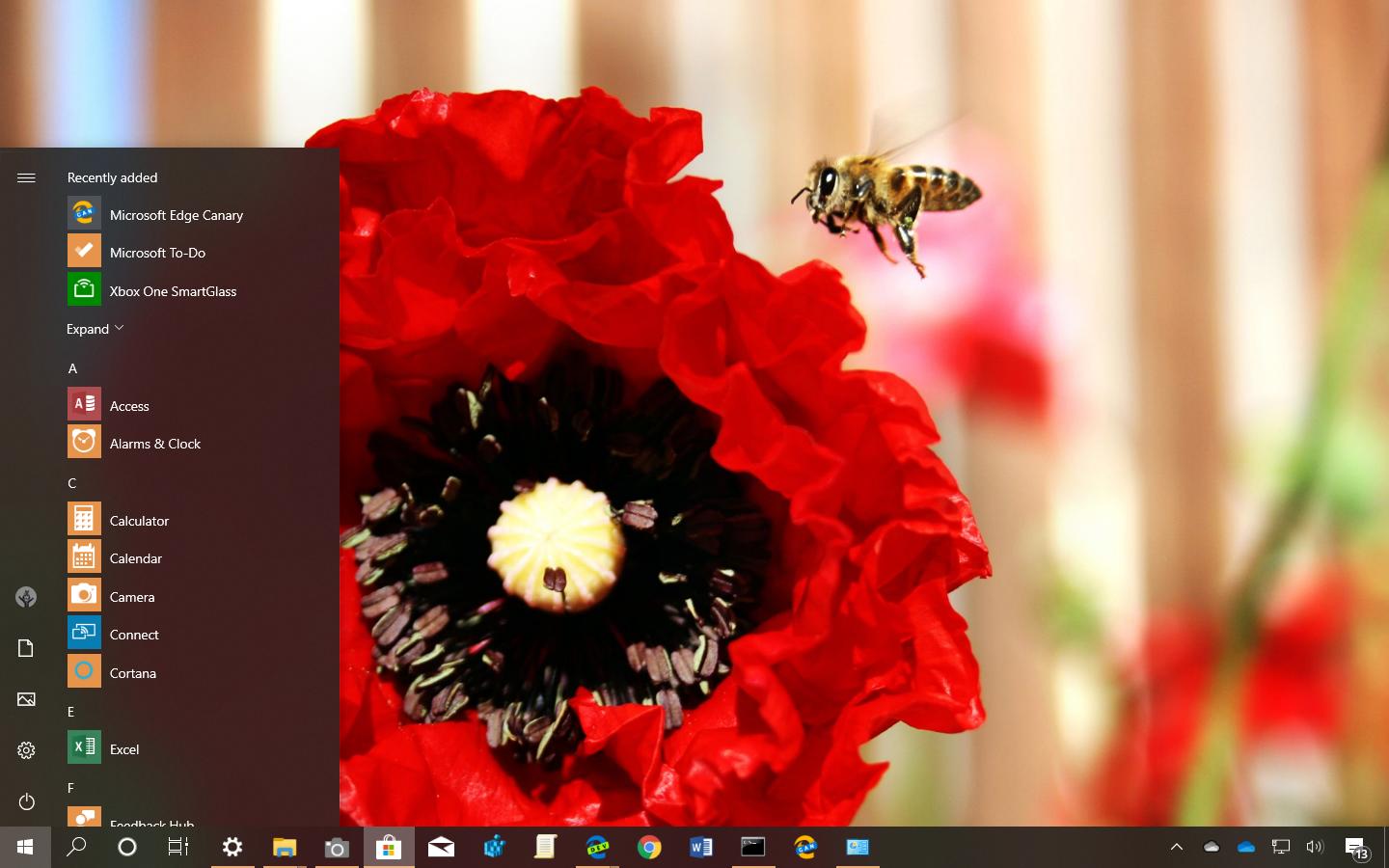社区展示:适用于 Windows 10 的昆虫主题(下载)
