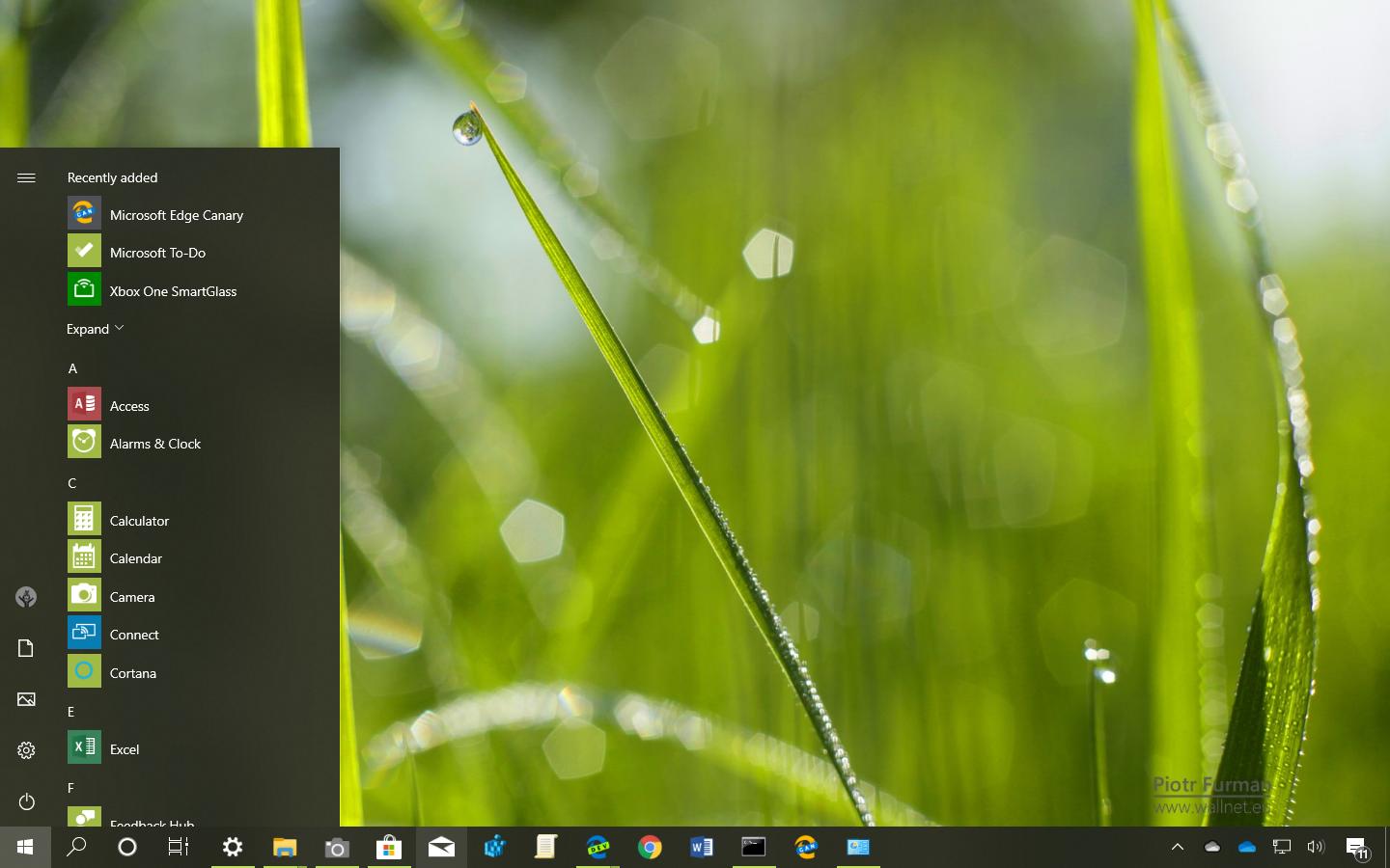 适用于 Windows 10 的 Green World 主题（下载）