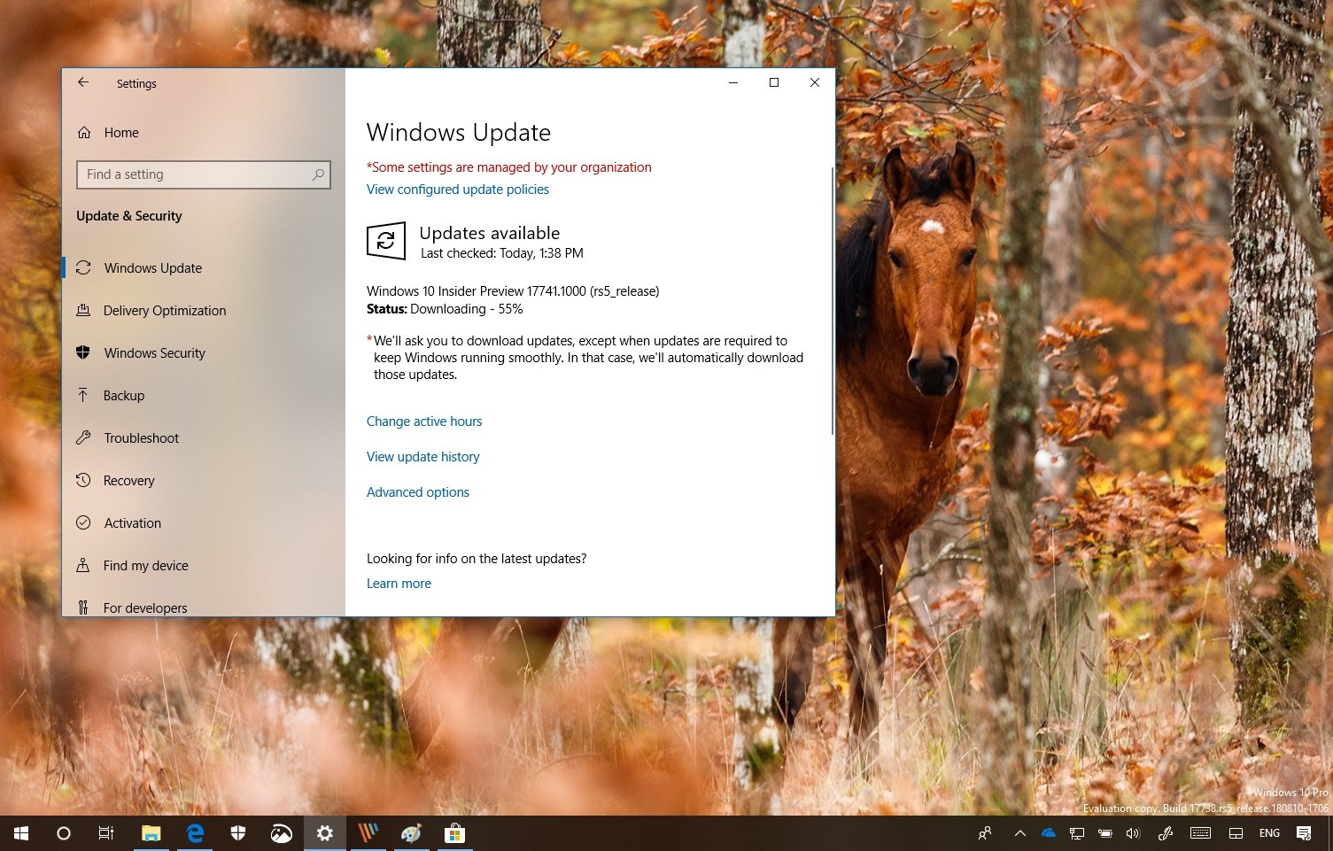 Windows 10 build 17741 发布，带来新改进