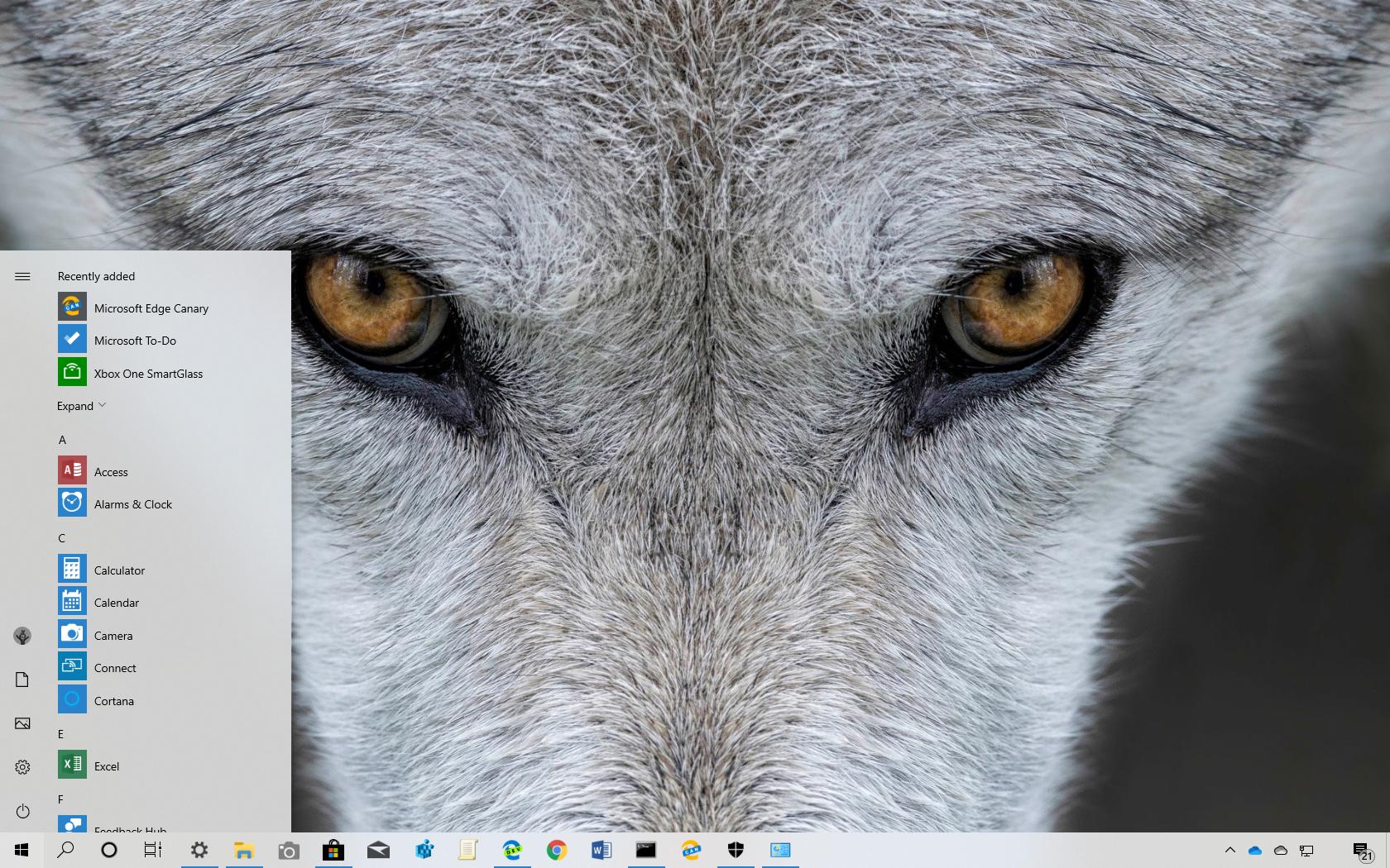黄石主题Windows 10的动物（下载）