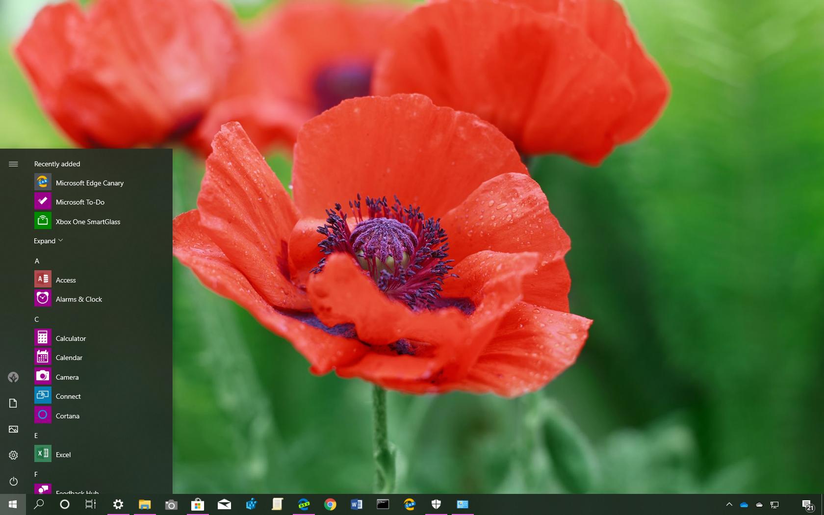 适用于 Windows 10 的 Field Of Poppies 主题（下载）