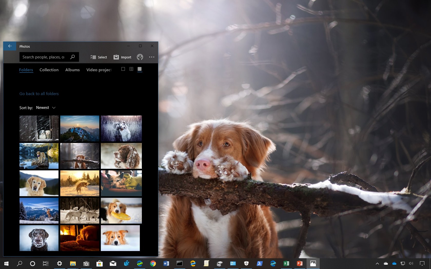 Windows 10的冬季主题（下载）