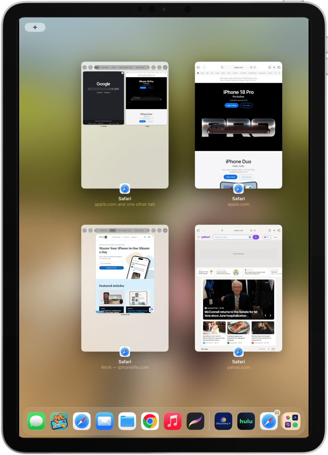 iPad 上显示全部 Safari 窗口
