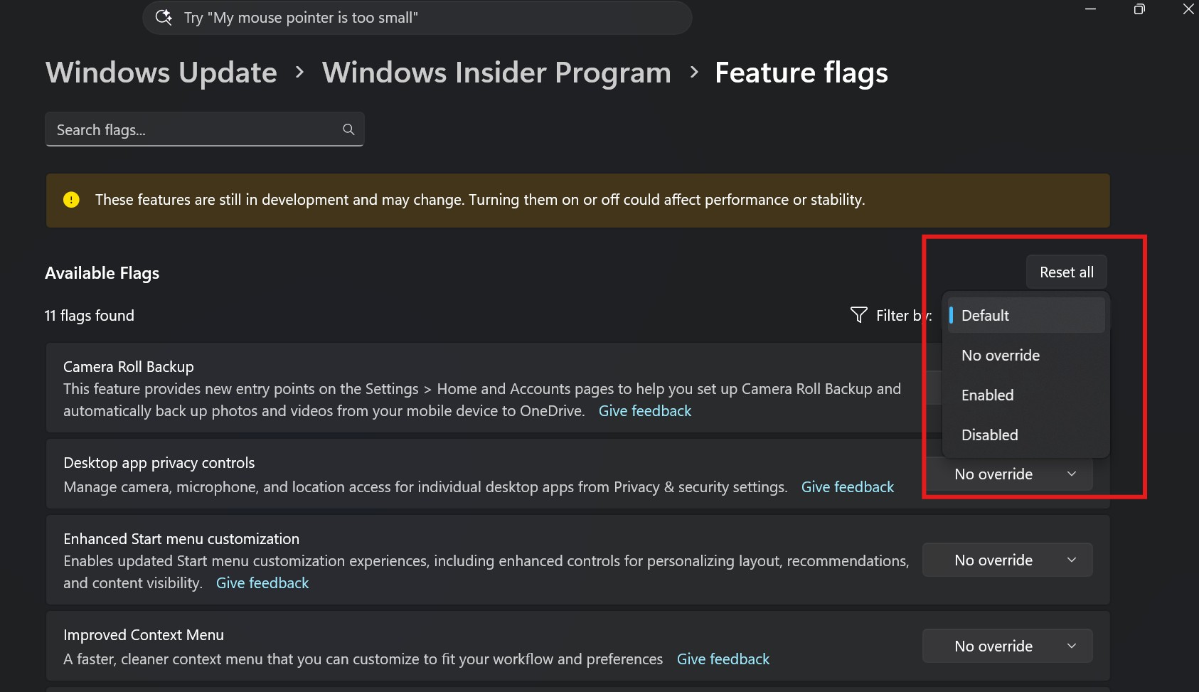 Windows Insider 设置中的功能开关筛选界面